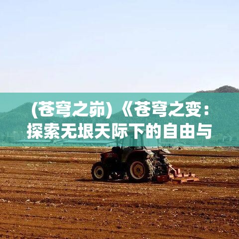 (苍穹之峁) 《苍穹之变：探索无垠天际下的自由与挑战》——在宽广天空中，如何把握自我与未知?